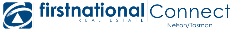 First National Connect Light Logo
