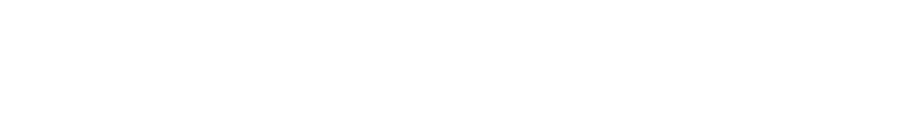 First National Surf to City Logo